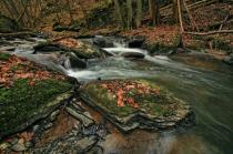 Wald und Wasser an der Mühle