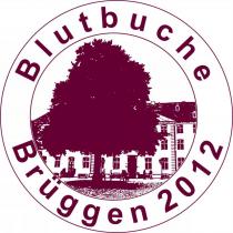 Rotbuchen Brüggen