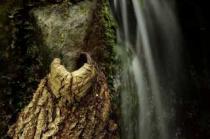 wood an water an der Mühle