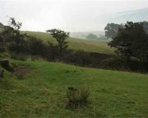 Landart Benoit Tremsal, Musik Antoine Beuger - Renaturierung Braunkohleabbaugebiet Grevenbroich