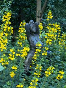 Bronze von Clemens Pasch