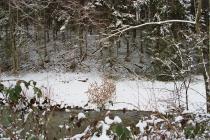 Stäbe Stakato im Winter