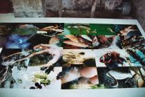 Bodenbildinstallation im Mühlkeller