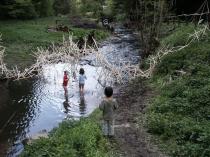 Stäbestakato über dem Bach