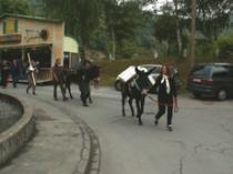 Wir wandern mit Eseln weiter