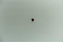 Die Liebe ist frei