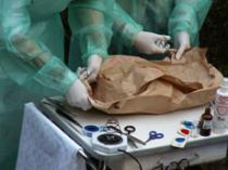 Verborgenes wieder ans Licht gebracht - Tomaten 2004-2006, eine Operation von Eva Koethen und Agnes Bube