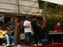Legendär schon  Andy Green und Band