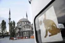 Der Hase vor der Hagia Sophia