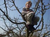 Der jüngste am liebsten immer hoch oben