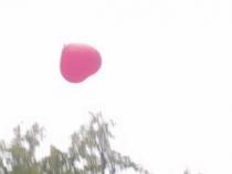 und fliegt................der Freiheit entgegen.........