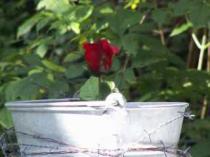 Ich und der Andere ein Darstellung von Hugo Schneider