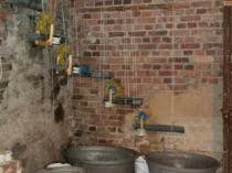 Klappernde Zähne, das muß man sich auf der Mühle einmal live anschauen