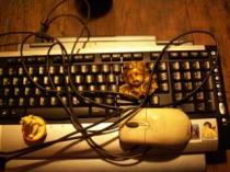 Engel+Arbeit