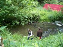 Heilmeditation für das Wasser