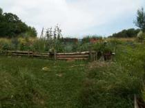 Kräutergärtnerein auf dem Krickelstein