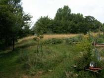 Kräutergärtnerein auf dem Krickelstein