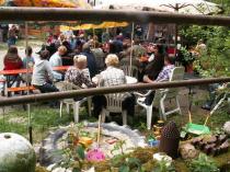 das Shamrock Duo spielt