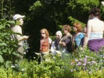 Wildkräuterseminar im Hunrsück