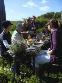 Wildkräutersnacks nach Kräuterwanderung auf dem Krickelstein