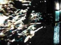 Verlicht, Susanne Fasbender