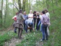 Wildkräuter erleben
