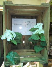 Denkmal für Internationale Kriegsdienstverweigerung