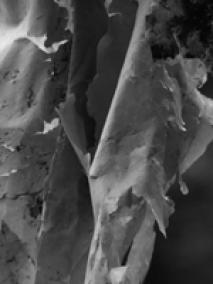 Alltags-Welt-Meister-er