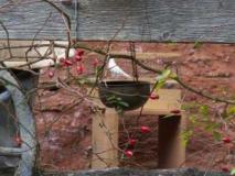 Zeiten-Wandel im Jammertal<br>